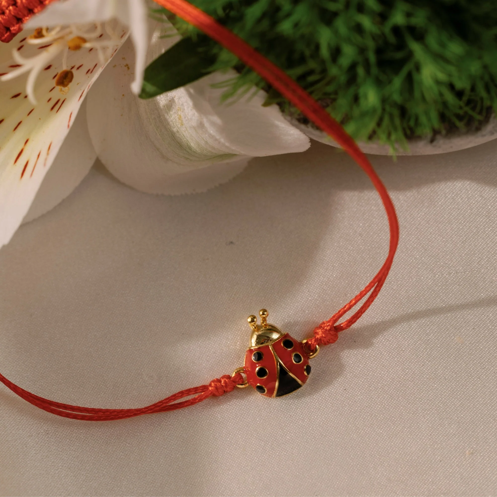 Ladybug - Thread of Blessings - Image 2
