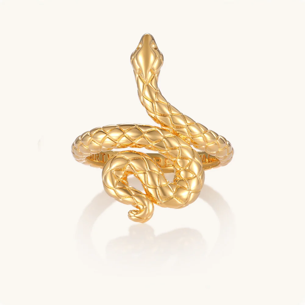 Rebirth and Renewal - Snake Ring - Image 13